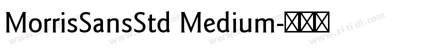 MorrisSansStd Medium字体转换
